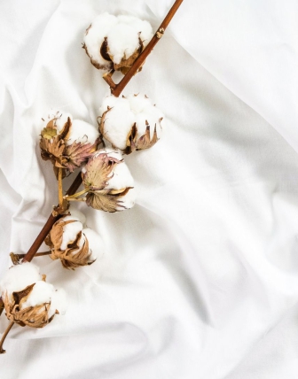 Viss par kokvilnas gultas veļu: maigums, elpojamība un dabiskums