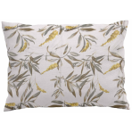 Spilvendrānas „Auric“