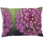 Spilvendrānas „Burdock“