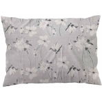 Spilvendrānas „Drizzle“