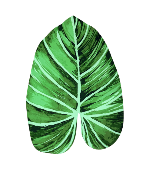 Vannas paklājs "Leaf mat". Vannas istabas paklājiņi